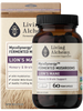Living Alchemy Lion's Mane